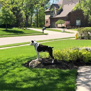 Meet your Posher, Susan